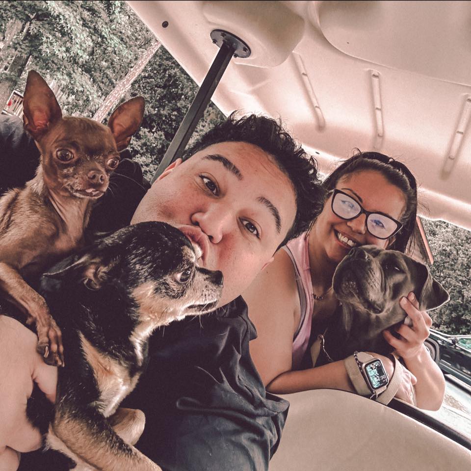Two people with three small dogs inside a vehicle.