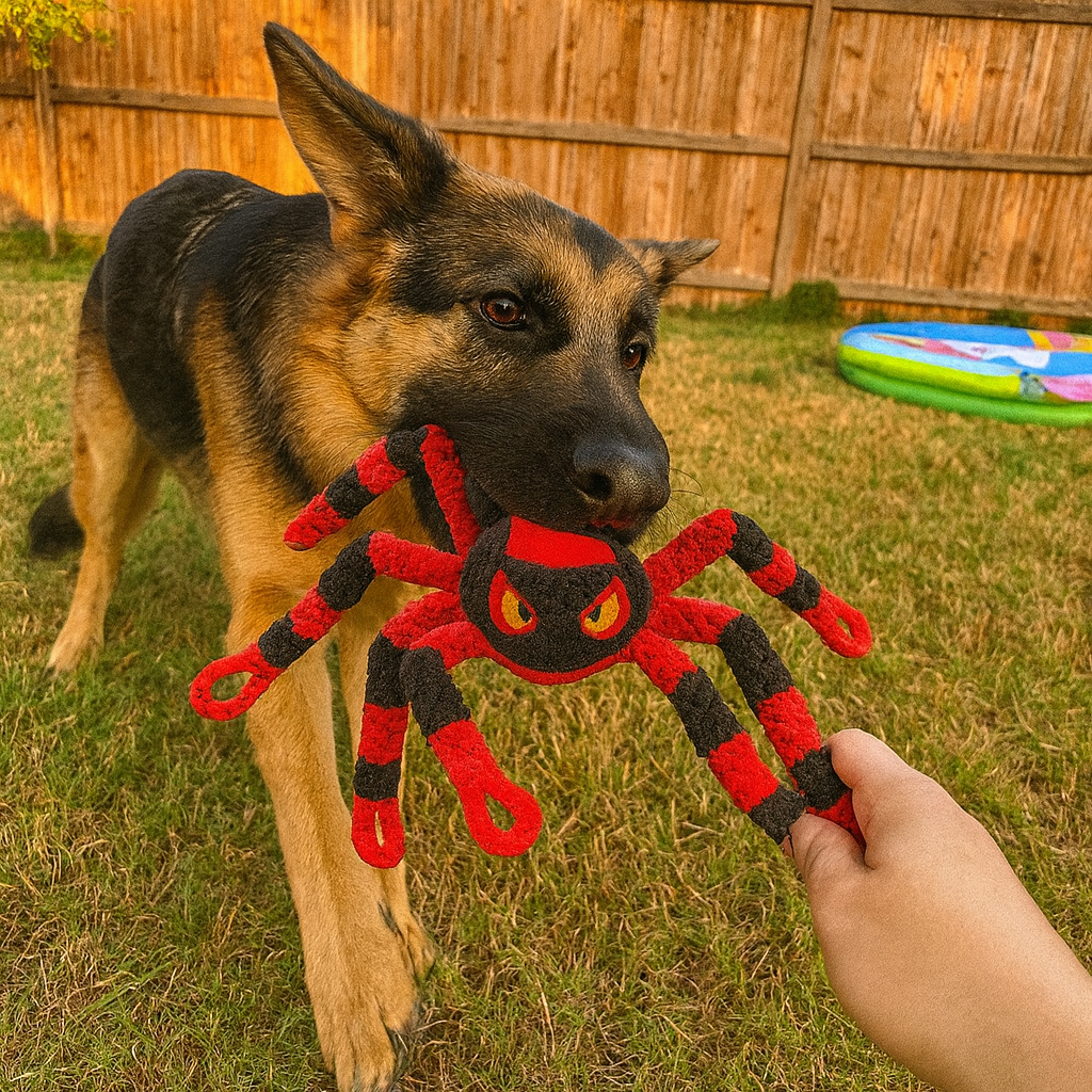 Large Dog Toy – Red Spider