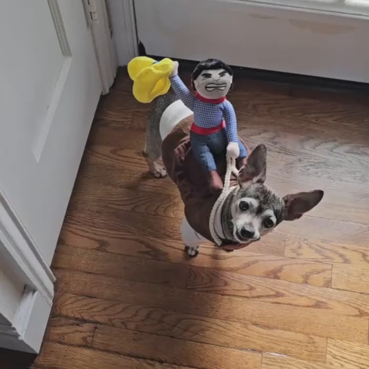 Halloween Dog Costume – Cowboy Rider Vest with Hat & Doll (Coffee Color)